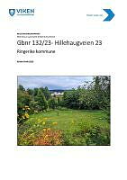 2021_ 59877 Rapport Hillehaugveien 23.pdf