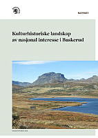 KULA_rapport_Buskerud.pdf